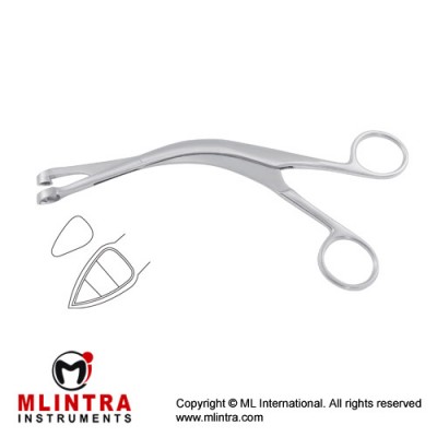 Faure Biopsy Forcep Stainless Steel, 21 cm - 8 1/4" Bite Size 8.4 mm Faure Biopsy Forcep Stainless Steel, 21 cm - 8 1/4" Bite Size 8.4 mm